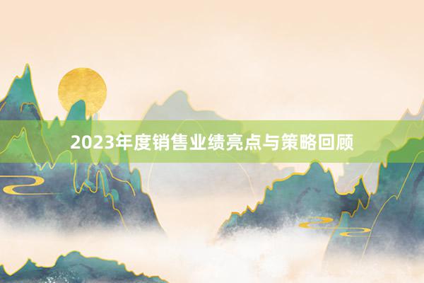 2023年度销售业绩亮点与策略回顾